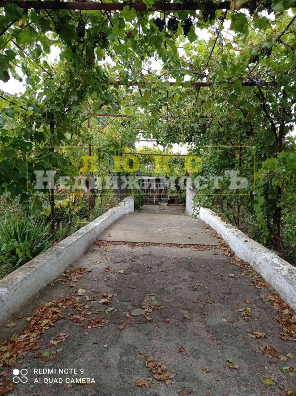 Продам будинок в Овідіополі вул. Шевченка ID 51535 (Фото 8)