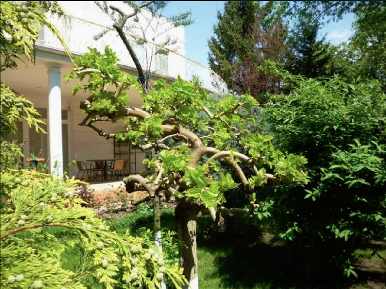 В продаже дом с бассейном на 12 Фонтана. Участок 13 соток. ID 51864 (Фото 14)