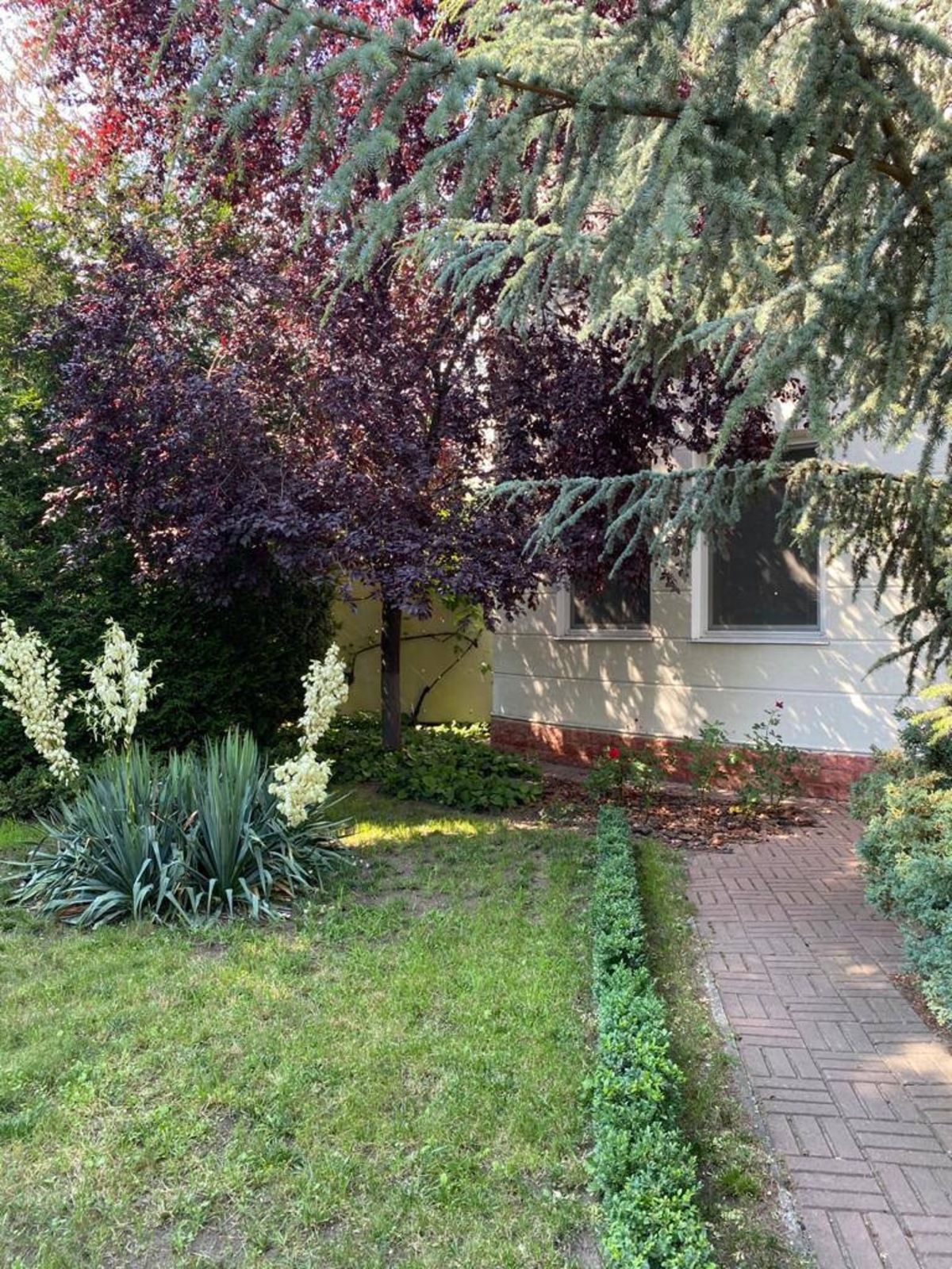 В продаже дом с бассейном на 12 Фонтана. Участок 13 соток. ID 51864 (Фото 21)