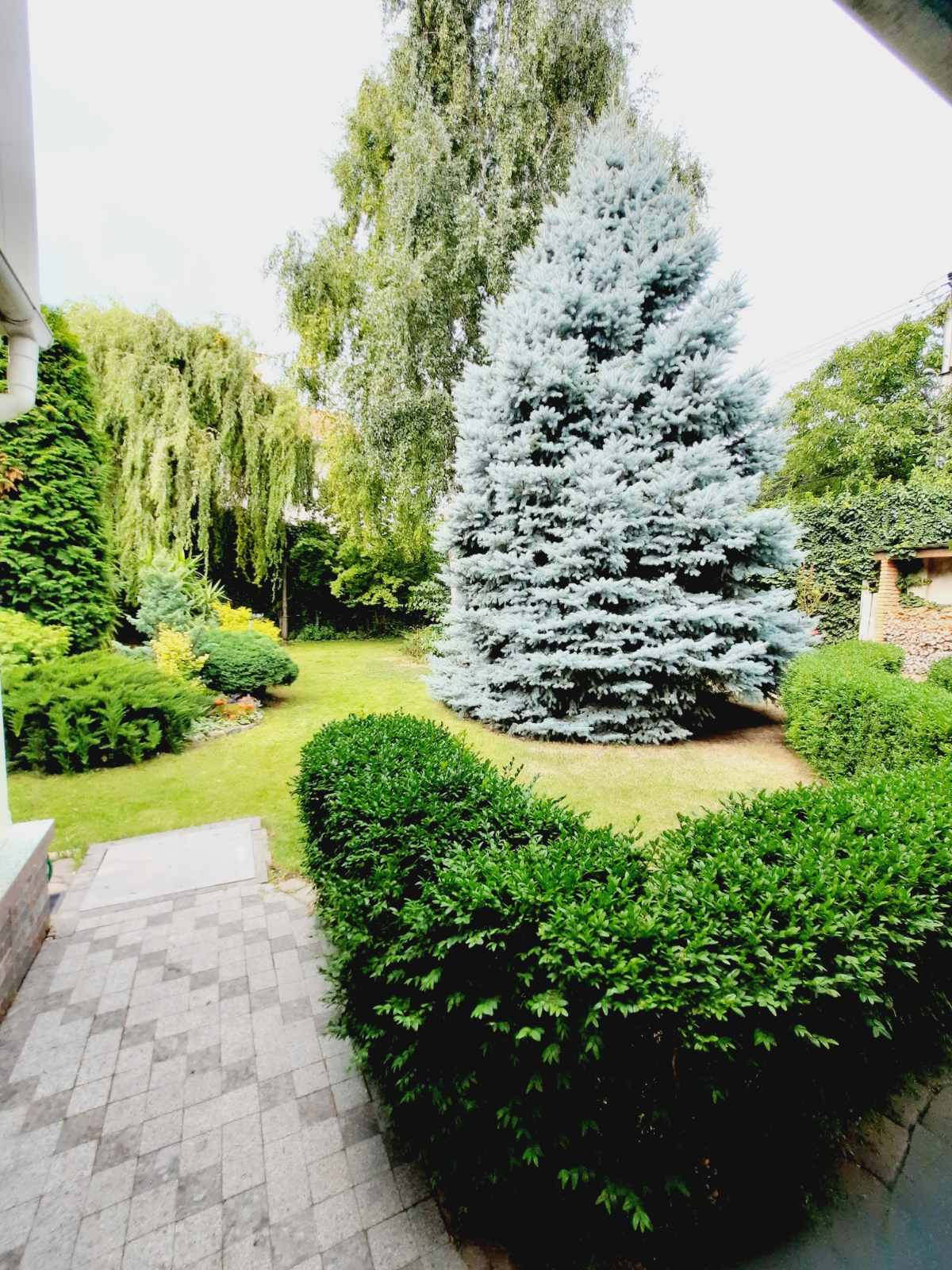 Продам 2-х эт. дом ул.Толбухина/ул.Ванцетти. Чубаевка.  ID 52366 (Фото 3)