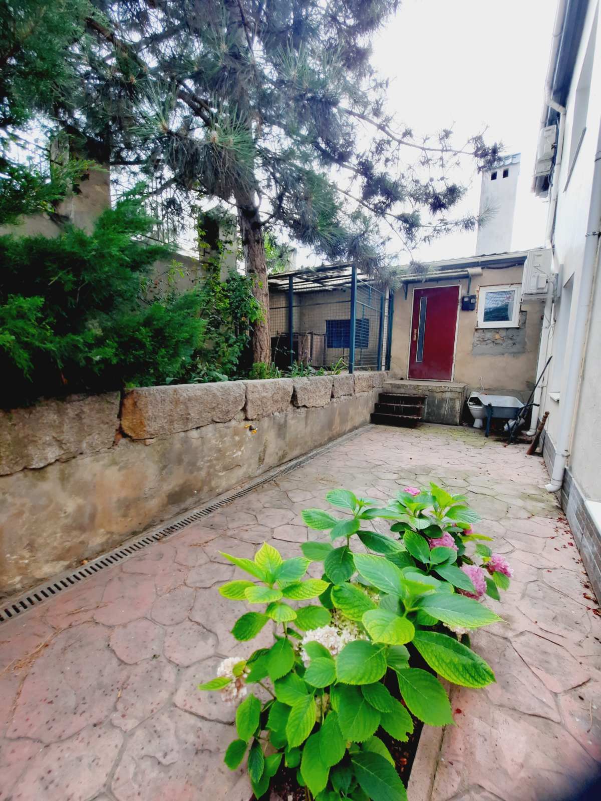 Продам 2-х эт. дом ул.Толбухина/ул.Ванцетти. Чубаевка.  ID 52366 (Фото 8)