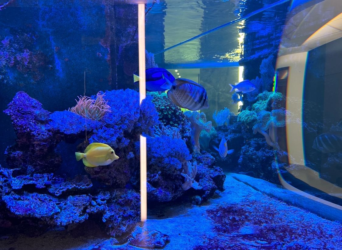 Продам 2х спальневю квартиру у моря в ЖК Аквамарин, на Б.Фонтане ID 53362 (Фото 16)