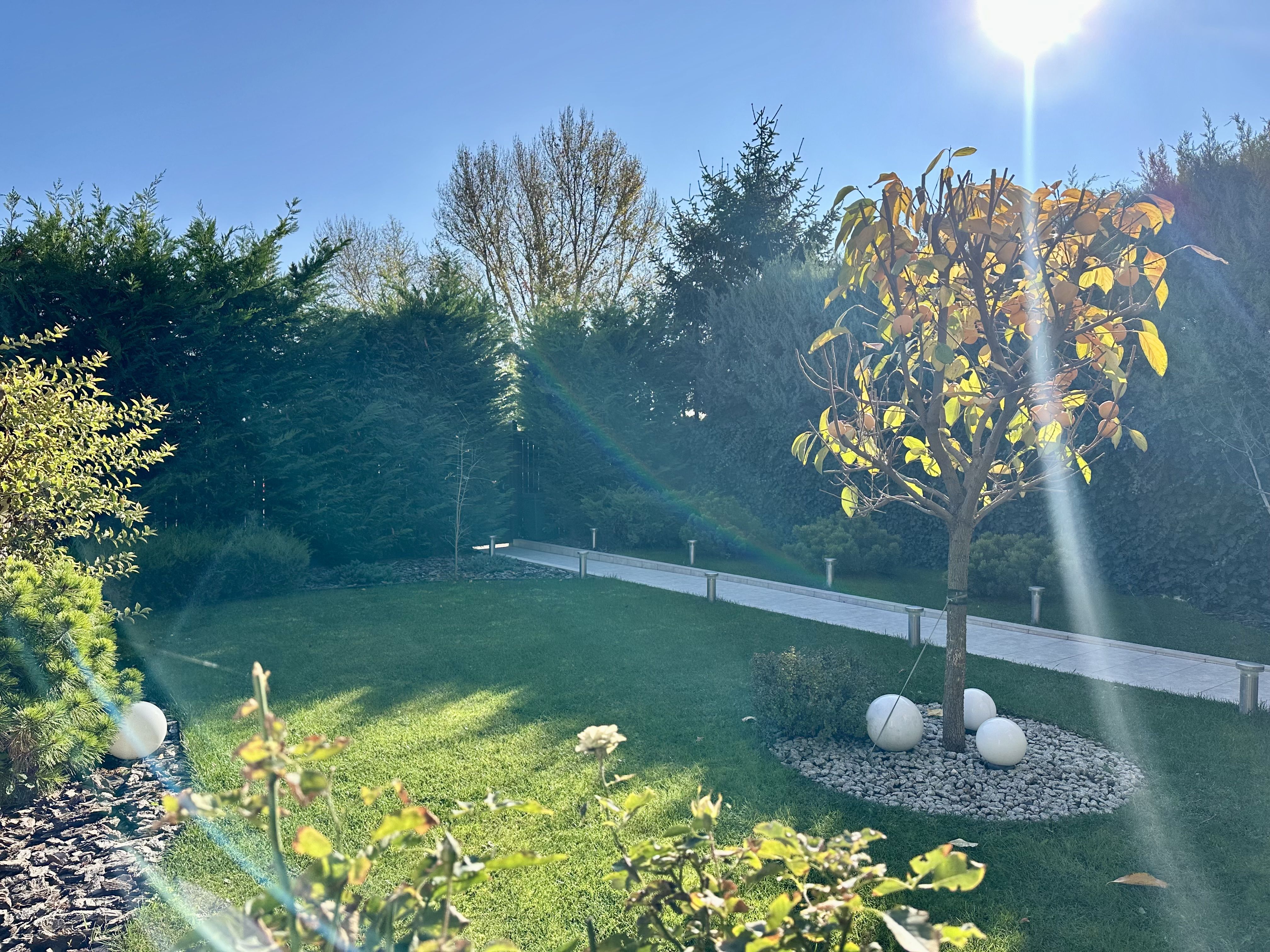 Элитный коттедж с видом на море у Коламбуса, 10 ст. Б. Фонтана ID 53655 (Фото 32)