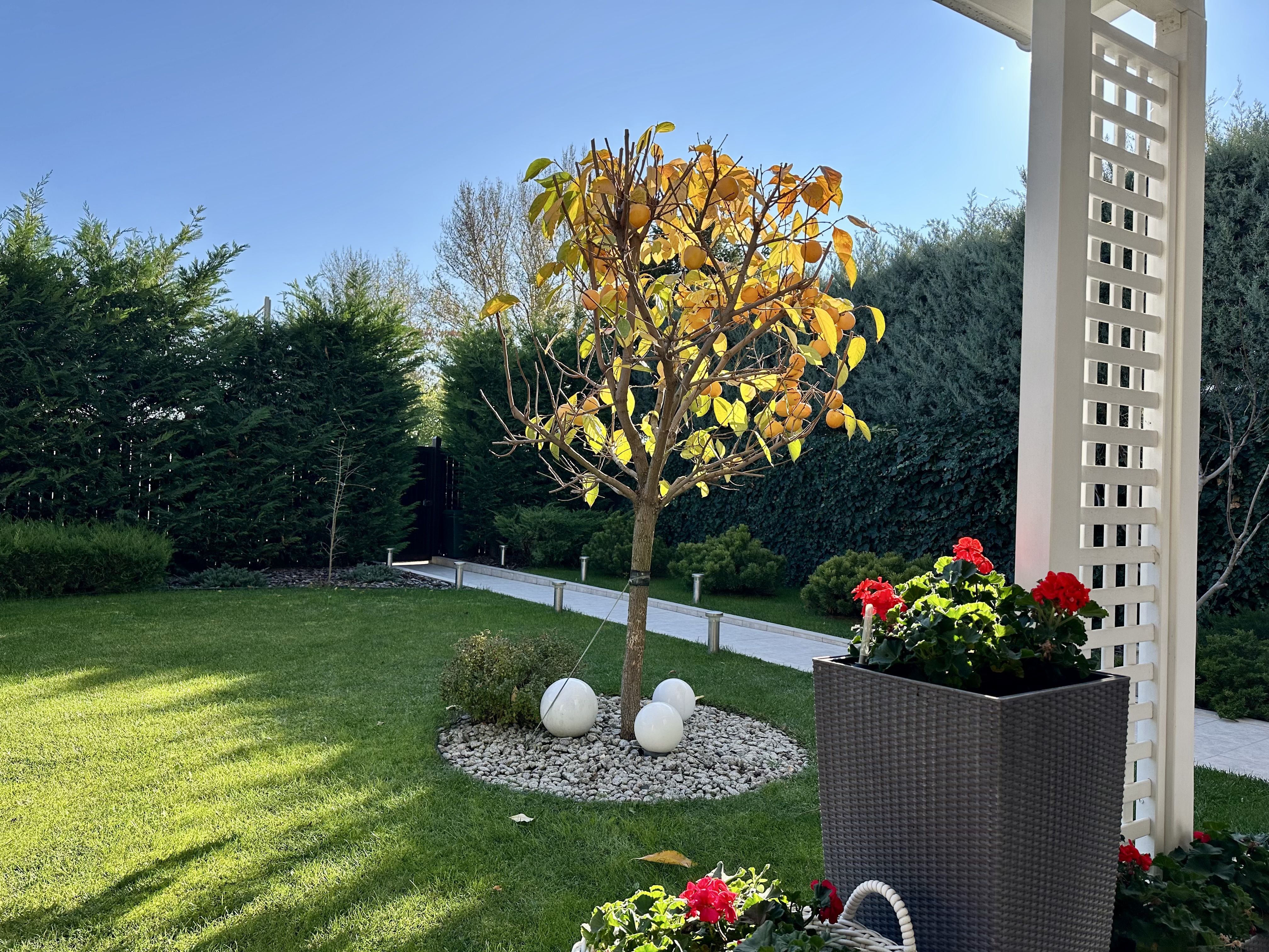 Элитный коттедж с видом на море у Коламбуса, 10 ст. Б. Фонтана ID 53655 (Фото 34)