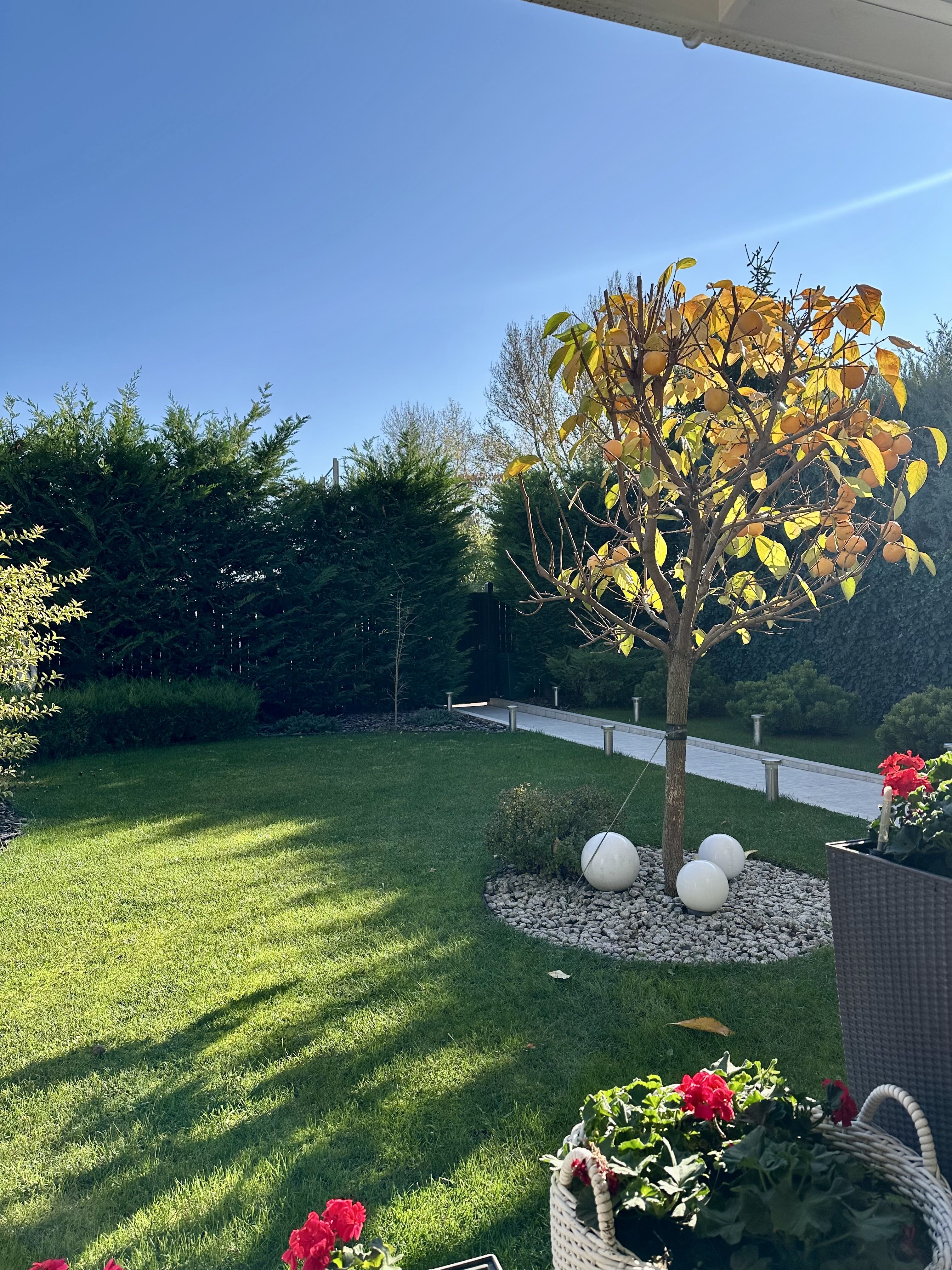 Элитный коттедж с видом на море у Коламбуса, 10 ст. Б. Фонтана ID 53655 (Фото 3)