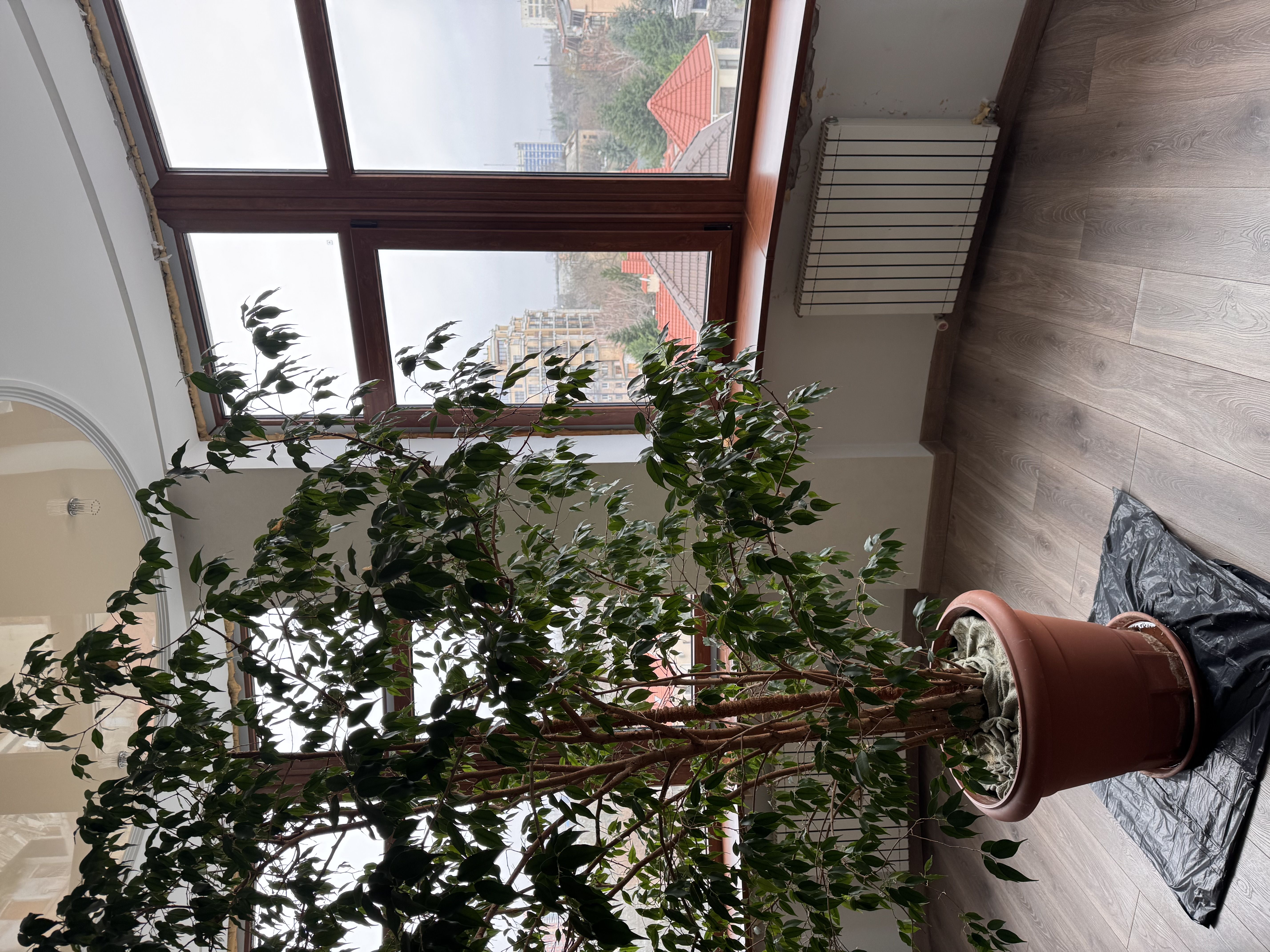 Пер. Азарова - первая линия моря. 2х спальневая квартира  ID 53917 (Фото 15)