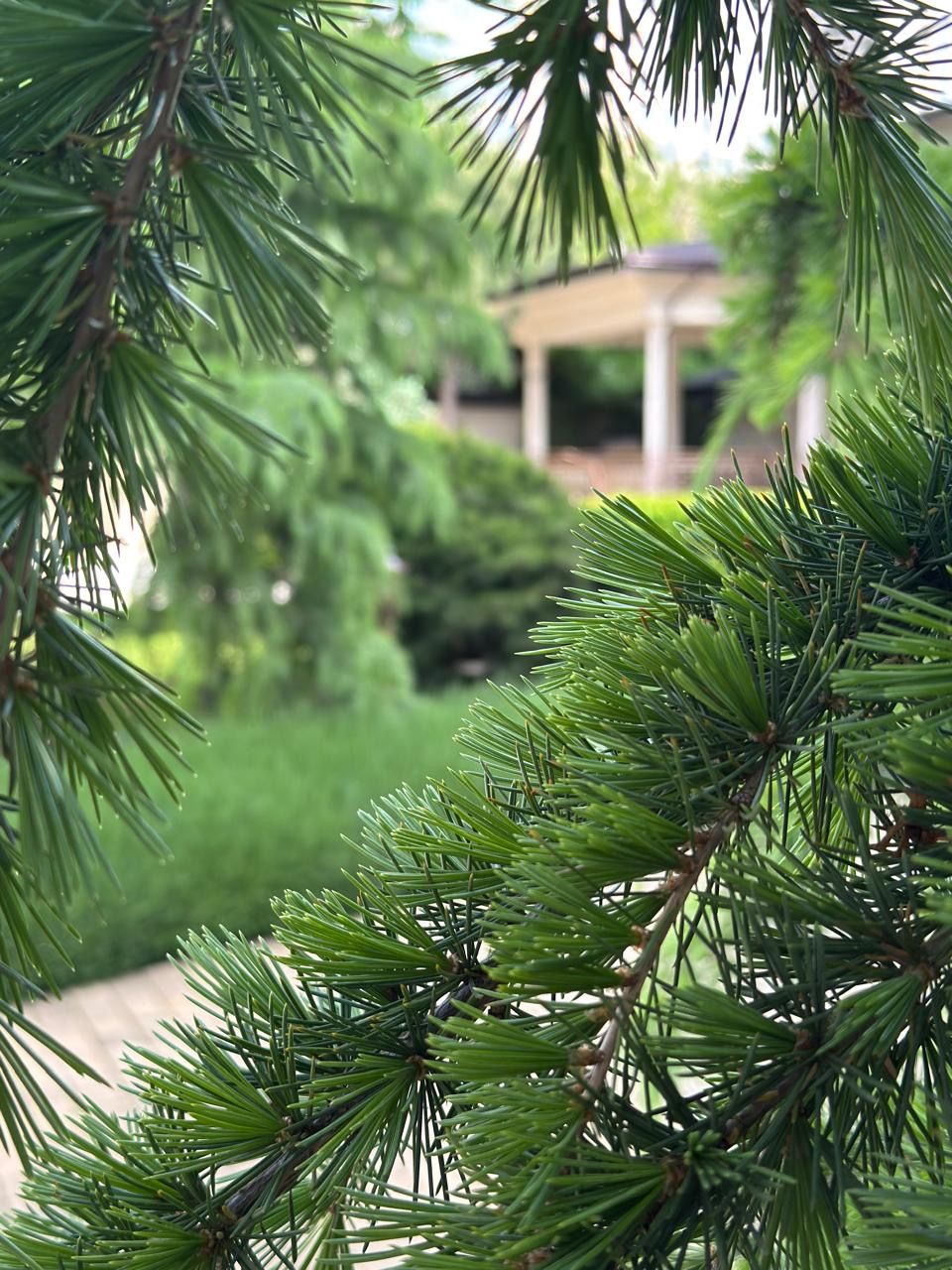 Участок в Аркадии под дом для жизни — тихо, без высоток, коммуникации ID 54014 (Фото 1)