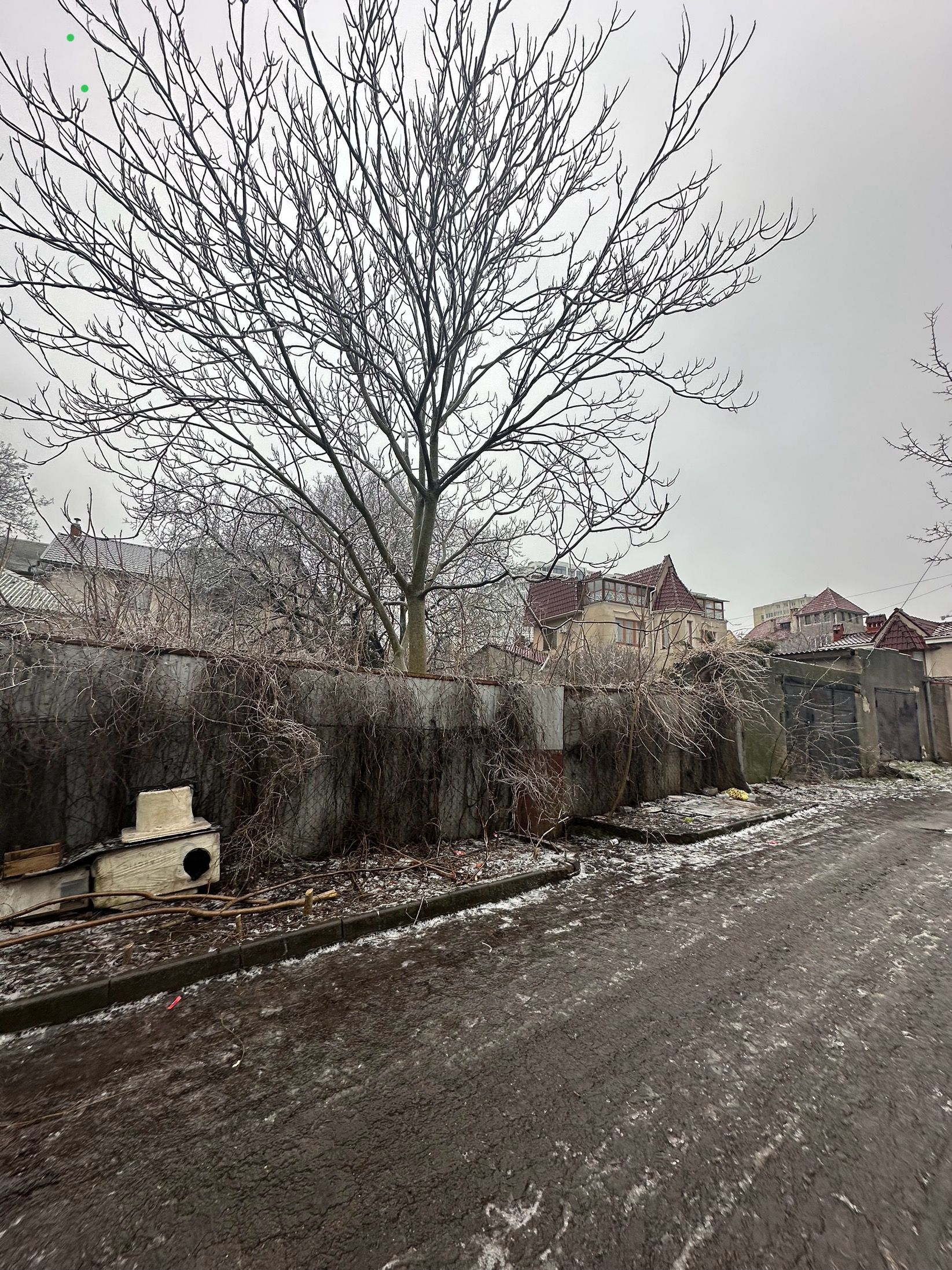 Участок в Аркадии под дом для жизни — тихо, без высоток, коммуникации ID 54014 (Фото 5)