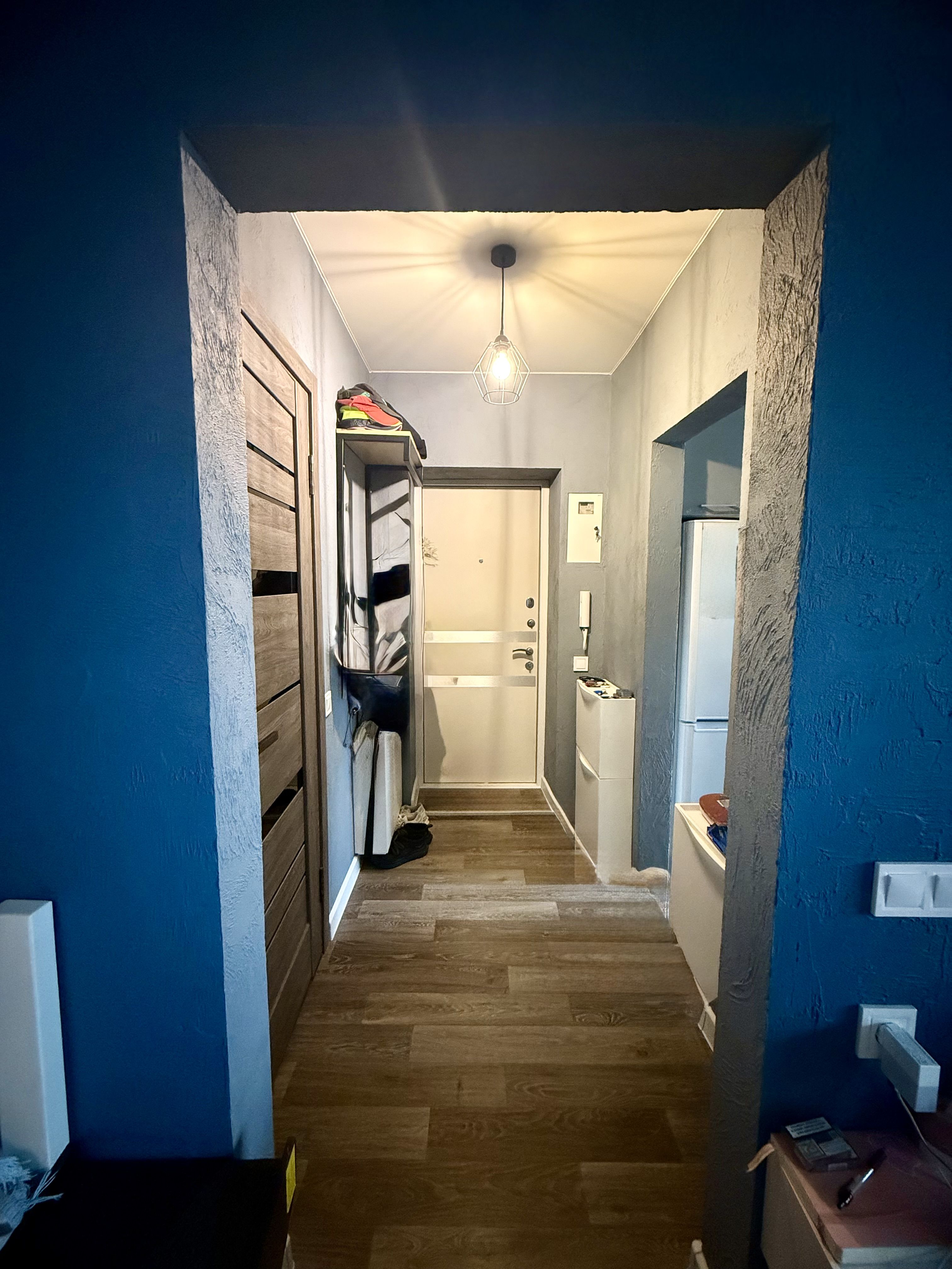  Уютная однокомнатная квартира с ремонтом в центре по ул. Бунина! ID 54019 (Фото 4)