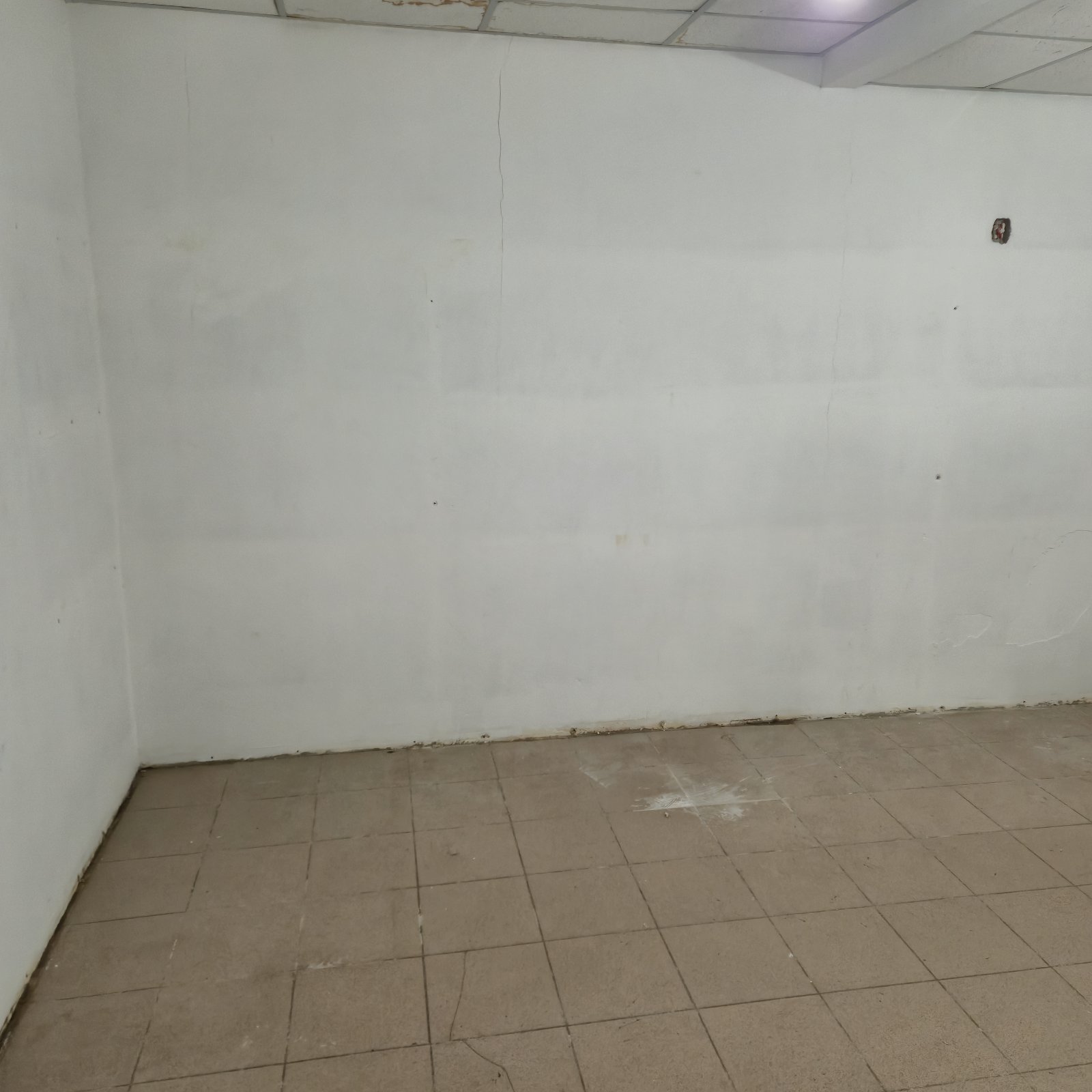 Фасад 245 м², Соборная площадь под магазин. ID 52541 (Фото 5)