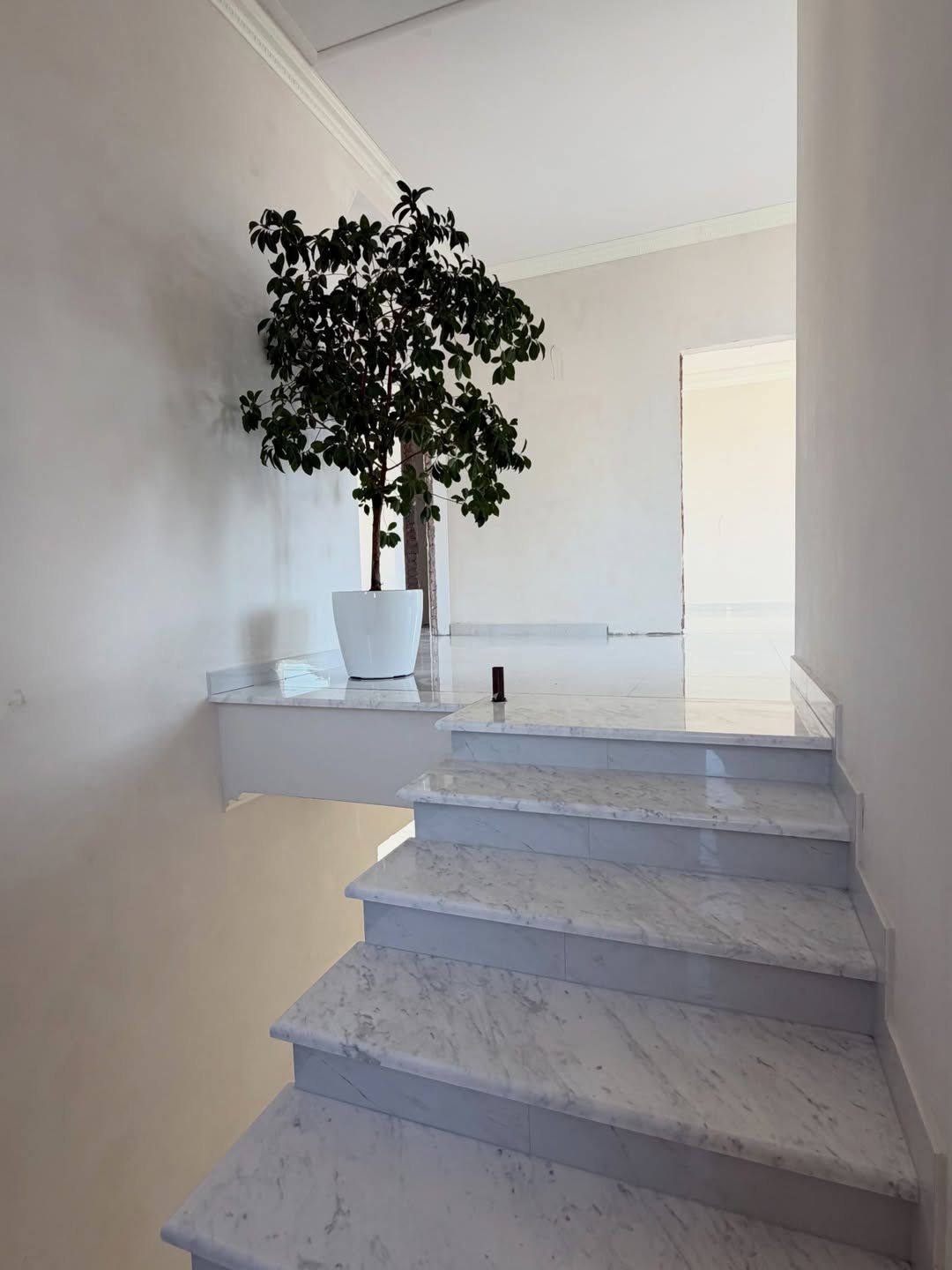 Дом с участком 6 соток на ул. Дмитрия Донского ID 54087 (Фото 7)