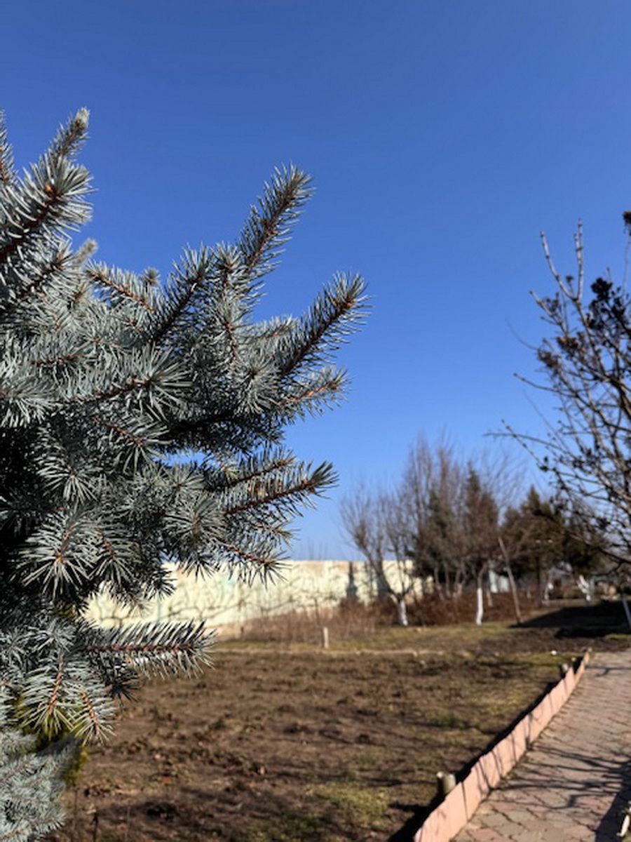 Продажа участка, первая линия моря, 20 соток ID 54121 (Фото 7)