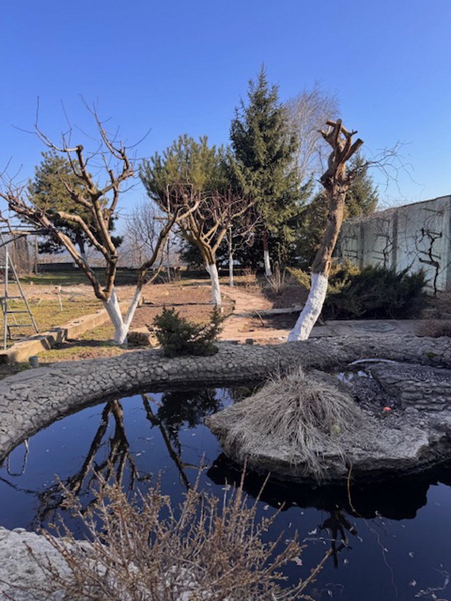 Продажа участка, первая линия моря, 20 соток ID 54121 (Фото 10)