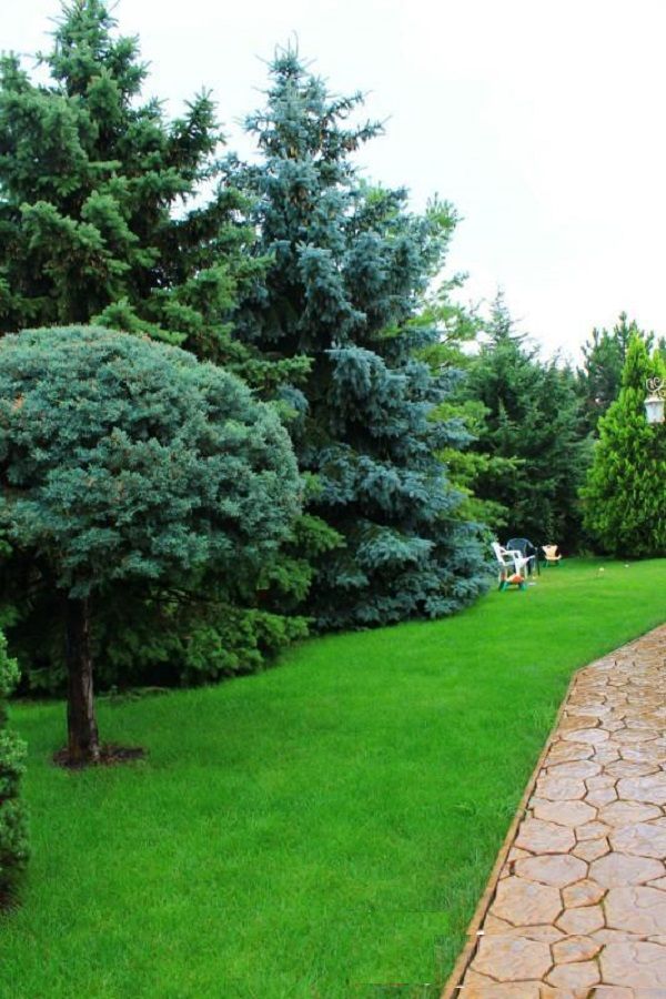 Усадьба 29 сотках с бассейном и двумя домами.  ID 748 (Фото 4)