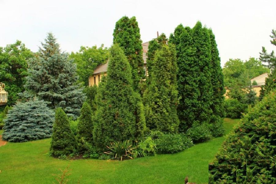 Усадьба 29 сотках с бассейном и двумя домами.  ID 748 (Фото 8)