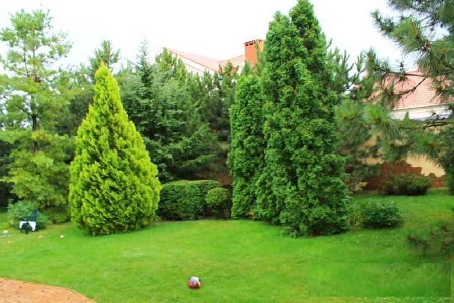 Усадьба 29 сотках с бассейном и двумя домами.  ID 748 (Фото 3)