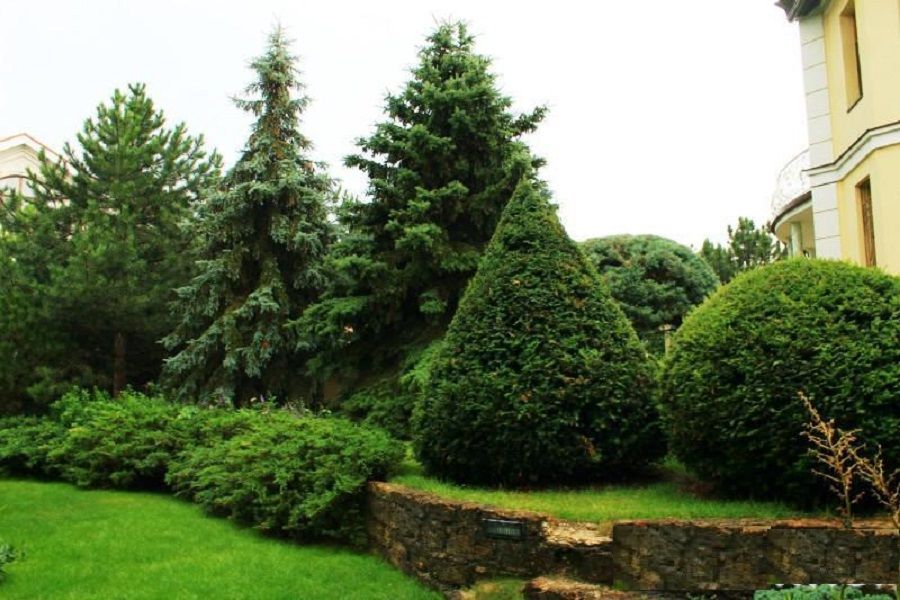 Усадьба 29 сотках с бассейном и двумя домами.  ID 748 (Фото 15)