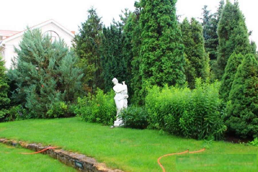 Усадьба 29 сотках с бассейном и двумя домами.  ID 748 (Фото 16)