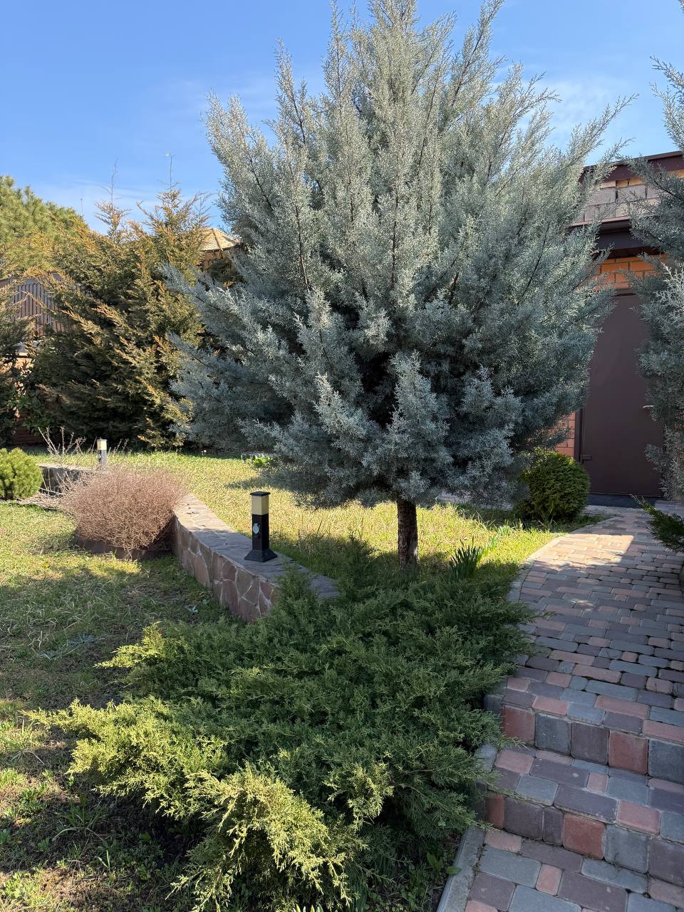 У продажу будинок у ЖК Совіньйон/Люстдорф 550 м кв ID 53101 (Фото 17)