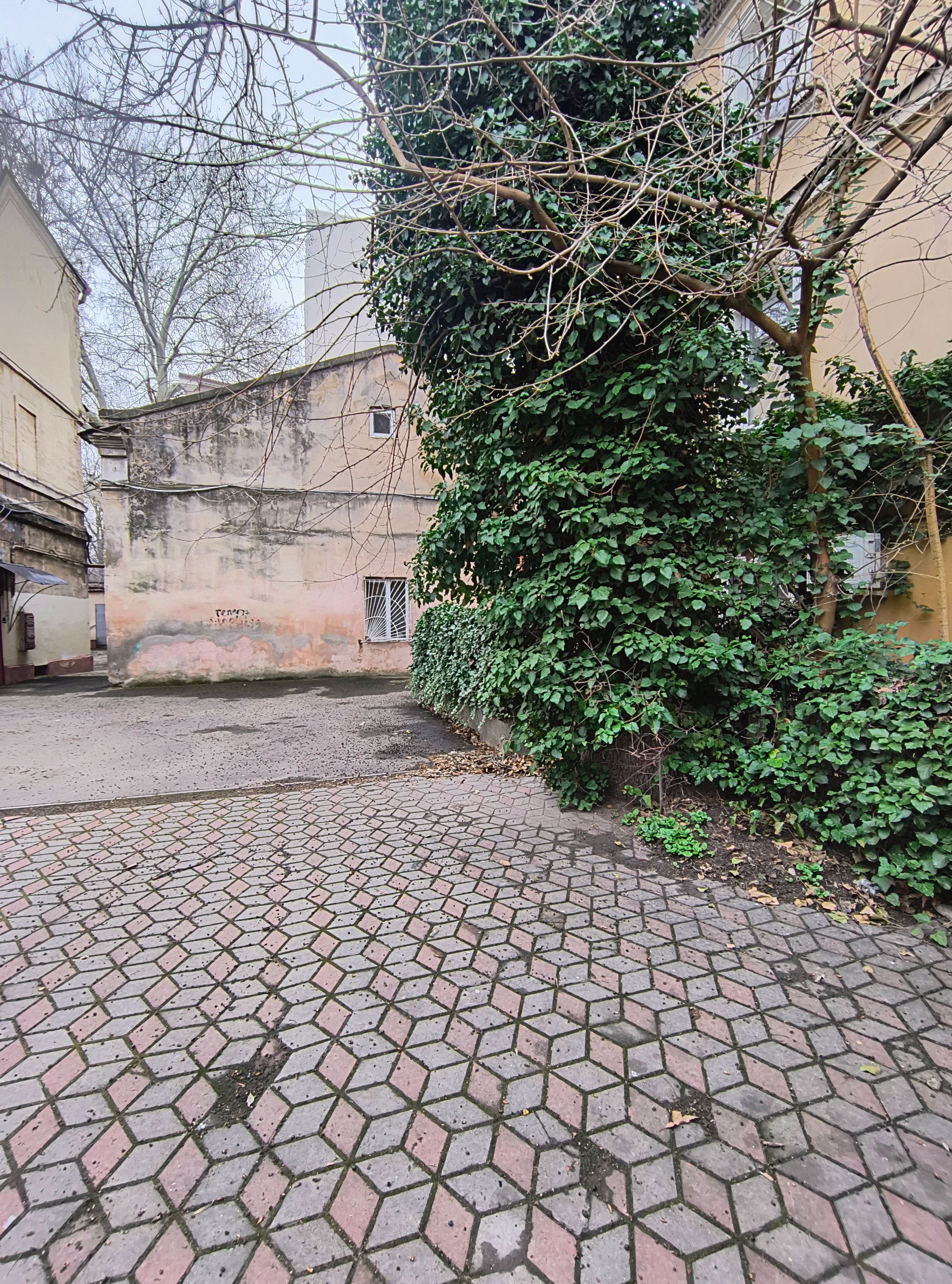 Квартира, где сочетаются приватность частного дома и комфорт квартиры ID 54163 (Фото 14)