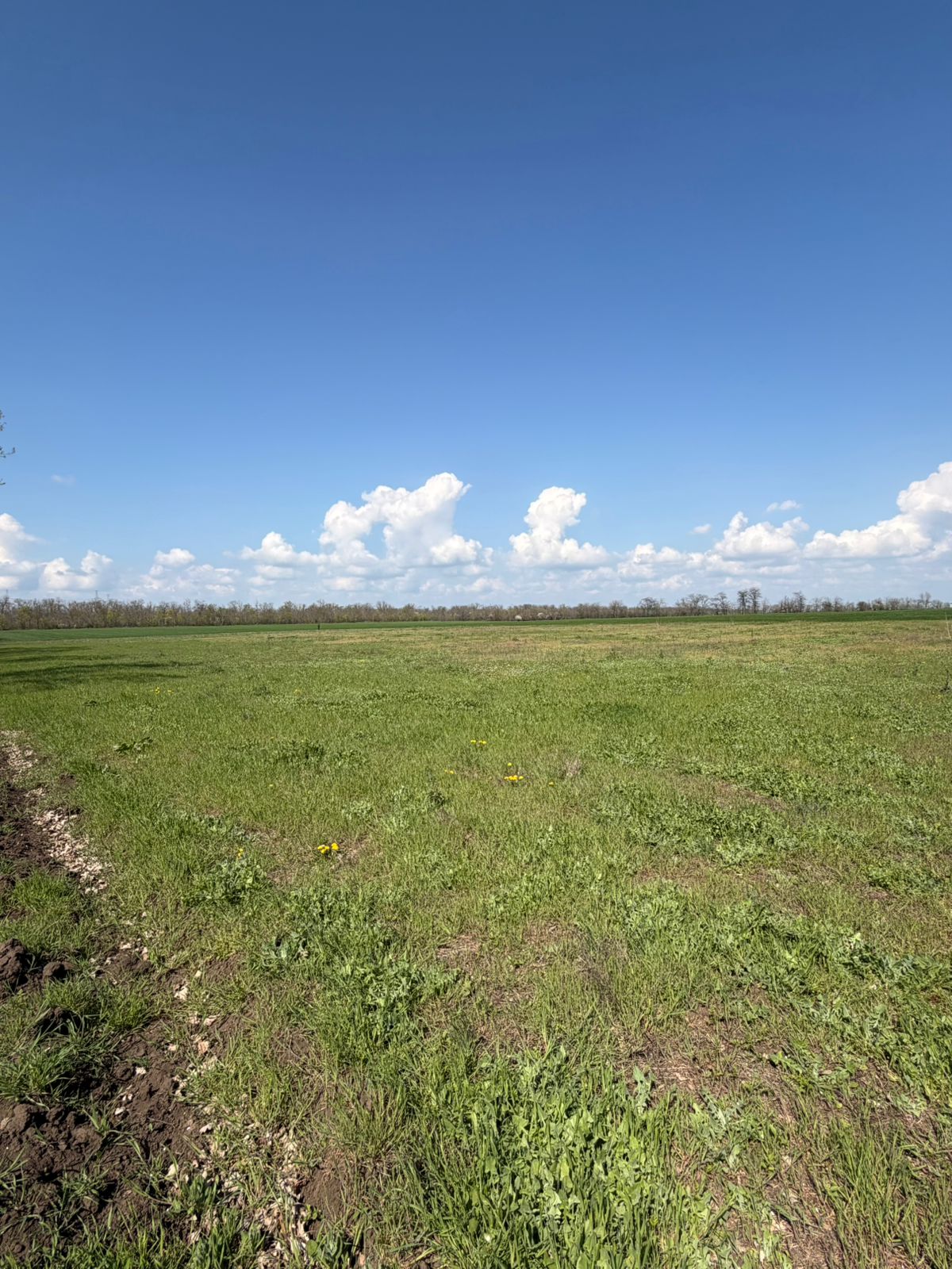 Фасадный земельный участок на Киевской трассе (въезд в Одессу) ID 54190 (Фото 1)