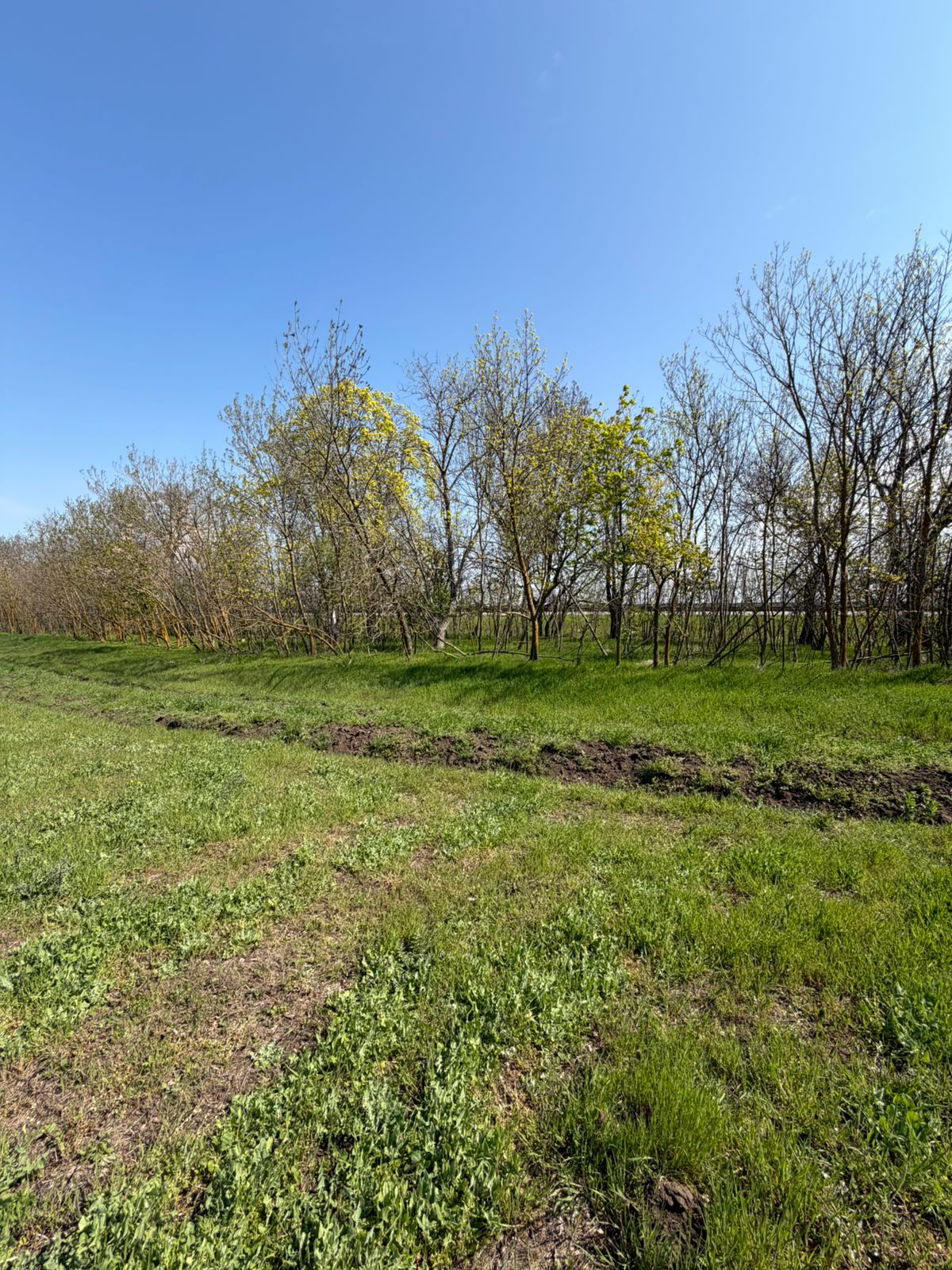 Фасадный земельный участок на Киевской трассе (въезд в Одессу) ID 54190 (Фото 4)