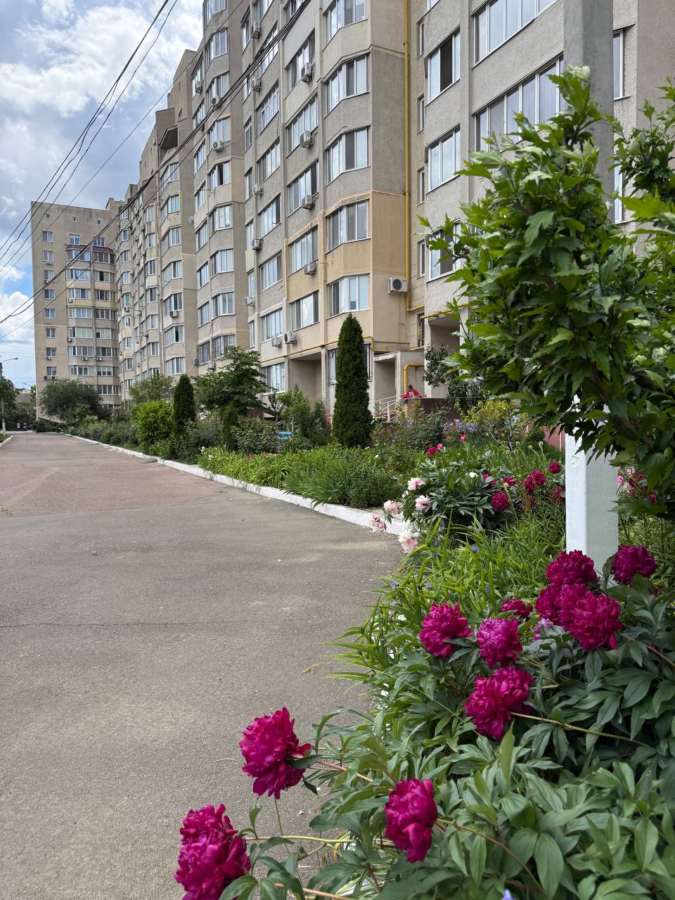 Двухкомнатная квартира в новом доме на Черемушках ID 53929 (Фото 1)
