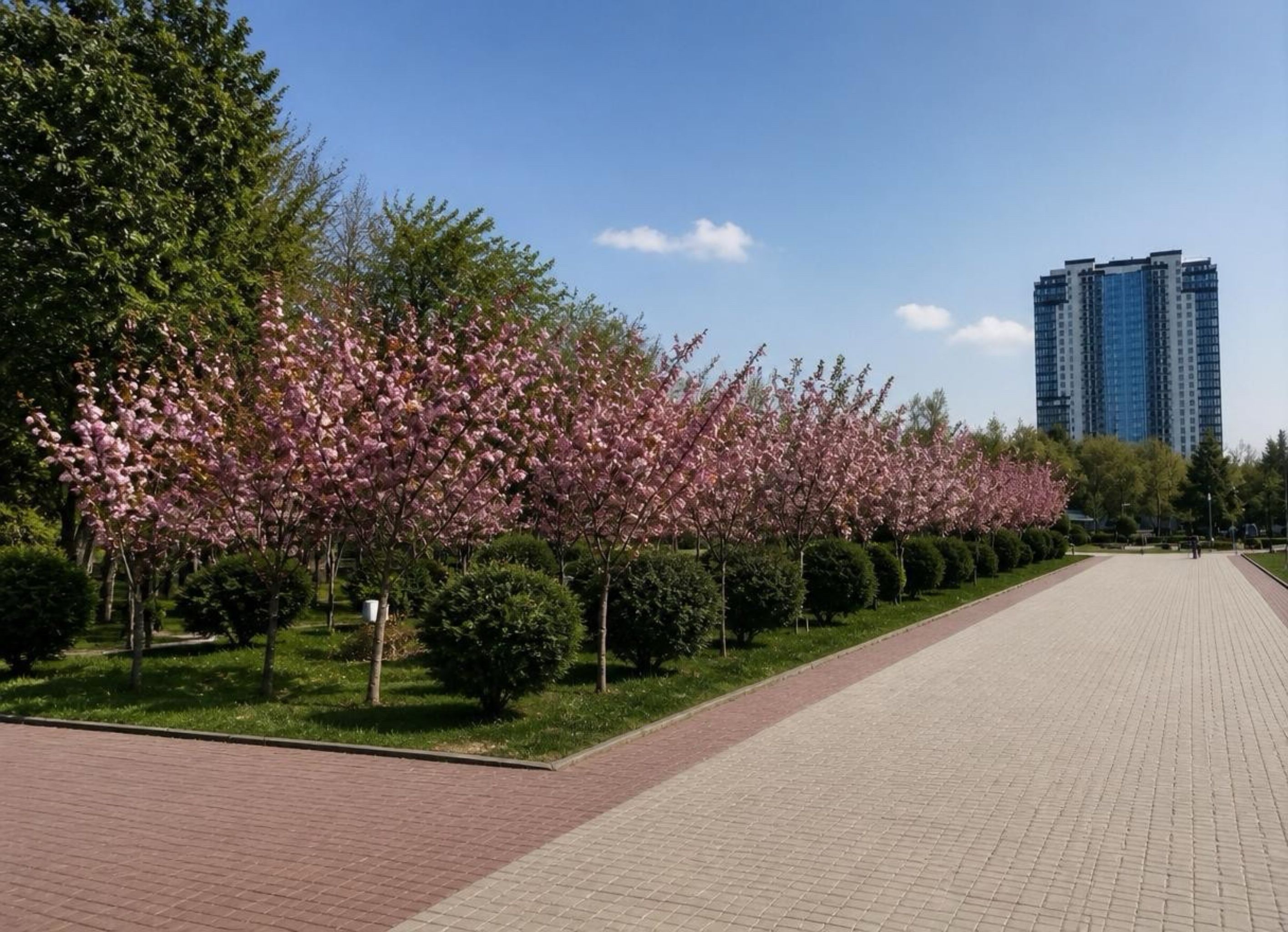 Продам квартиру проспект Шевченка ЖК Олімпійський вид на море. ID 53994 (Фото 1)