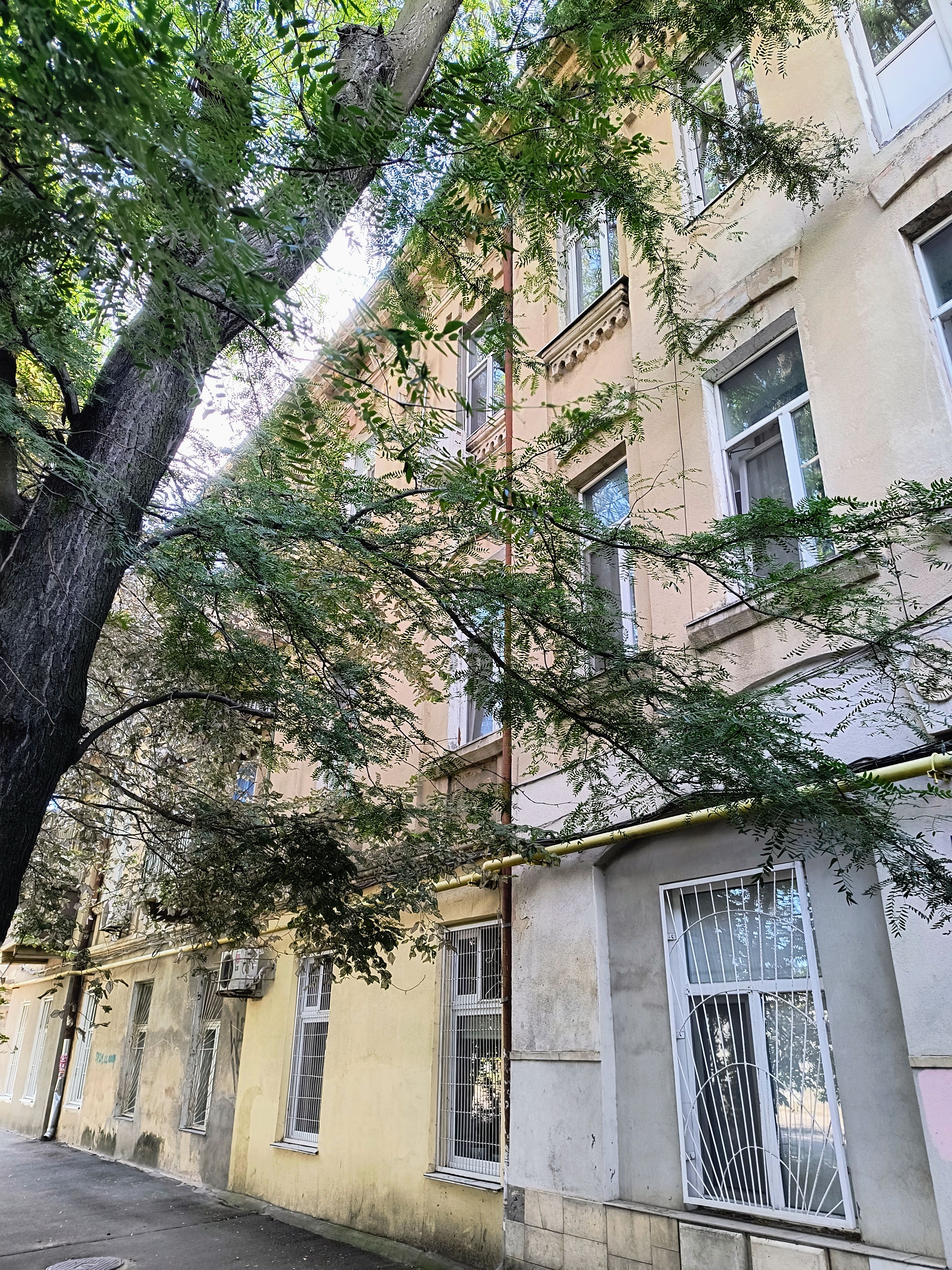 3-комнатная квартира 87 м² с АГВ и ремонтом в районе ЖД вокзала. ID 54378 (Фото 14)