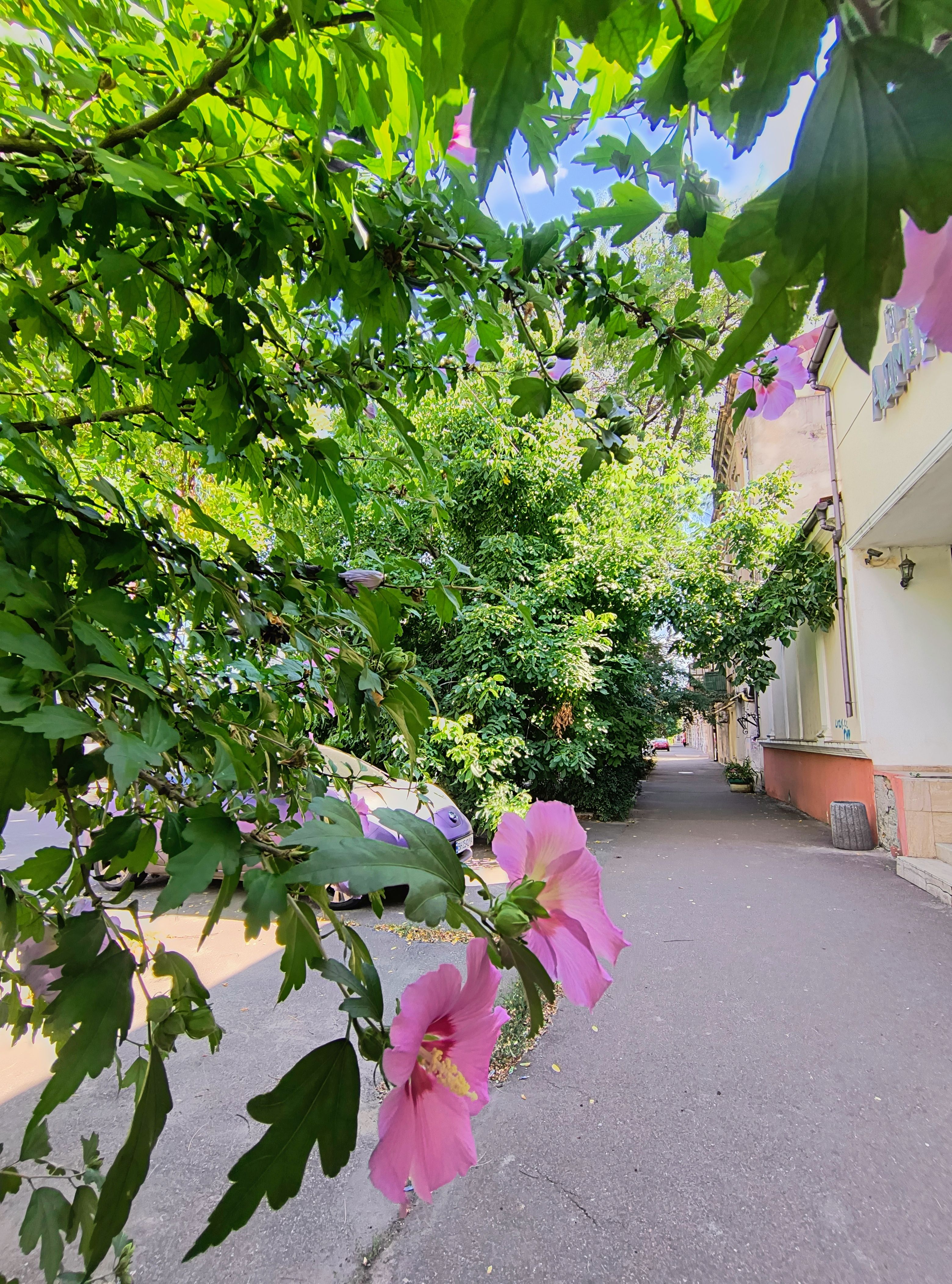 3-комнатная квартира 87 м² с АГВ и ремонтом в районе ЖД вокзала. ID 54378 (Фото 15)